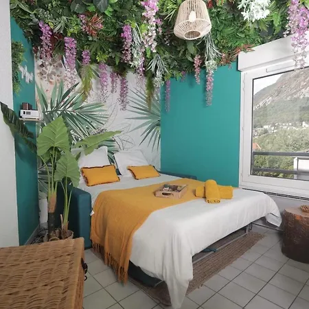 Jungle Proche De La Gare * Grenoble