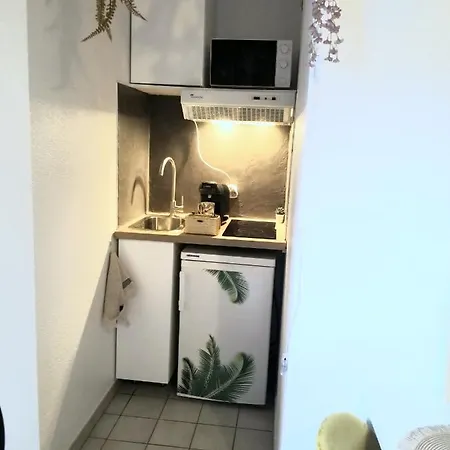 Jungle Proche De La Gare Apartament Grenoble