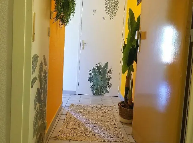 Jungle Proche De La Gare *