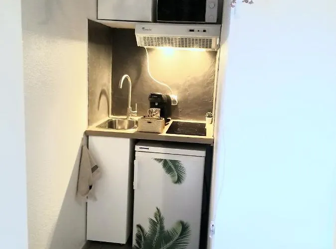 Jungle Proche De La Gare Apartament Grenoble