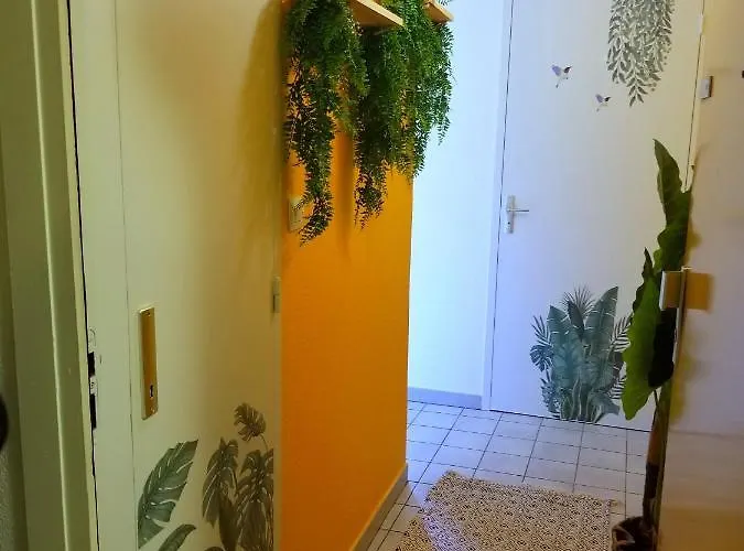 Jungle Proche De La Gare *